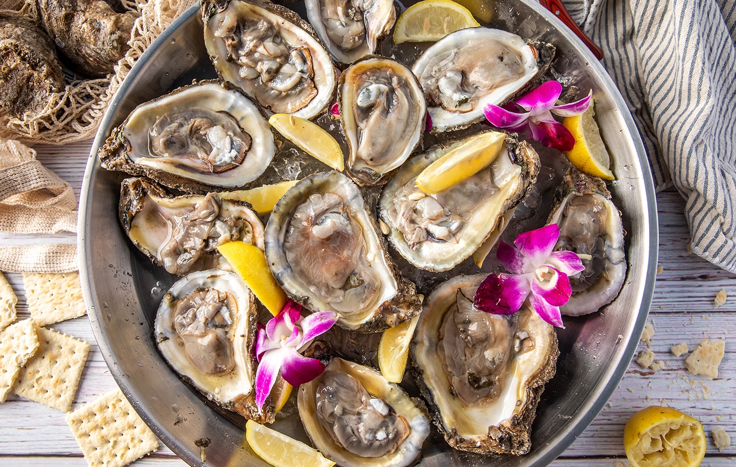 ABO Oysters